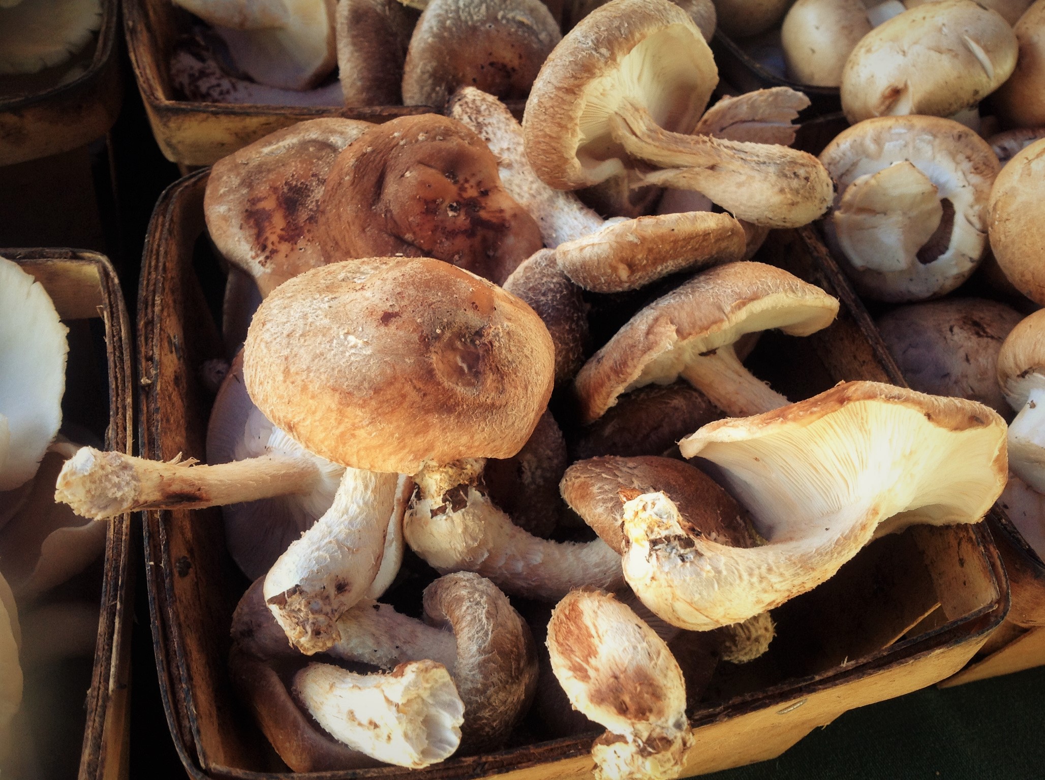 Shiitake Mushroom Miso Soup with Black Beans and Spinach : Plants-Rule