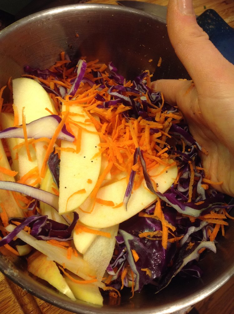 Red Cabbage Apple Creamy Slaw With Oil Free Poppy Seed Dressing Plants Rule