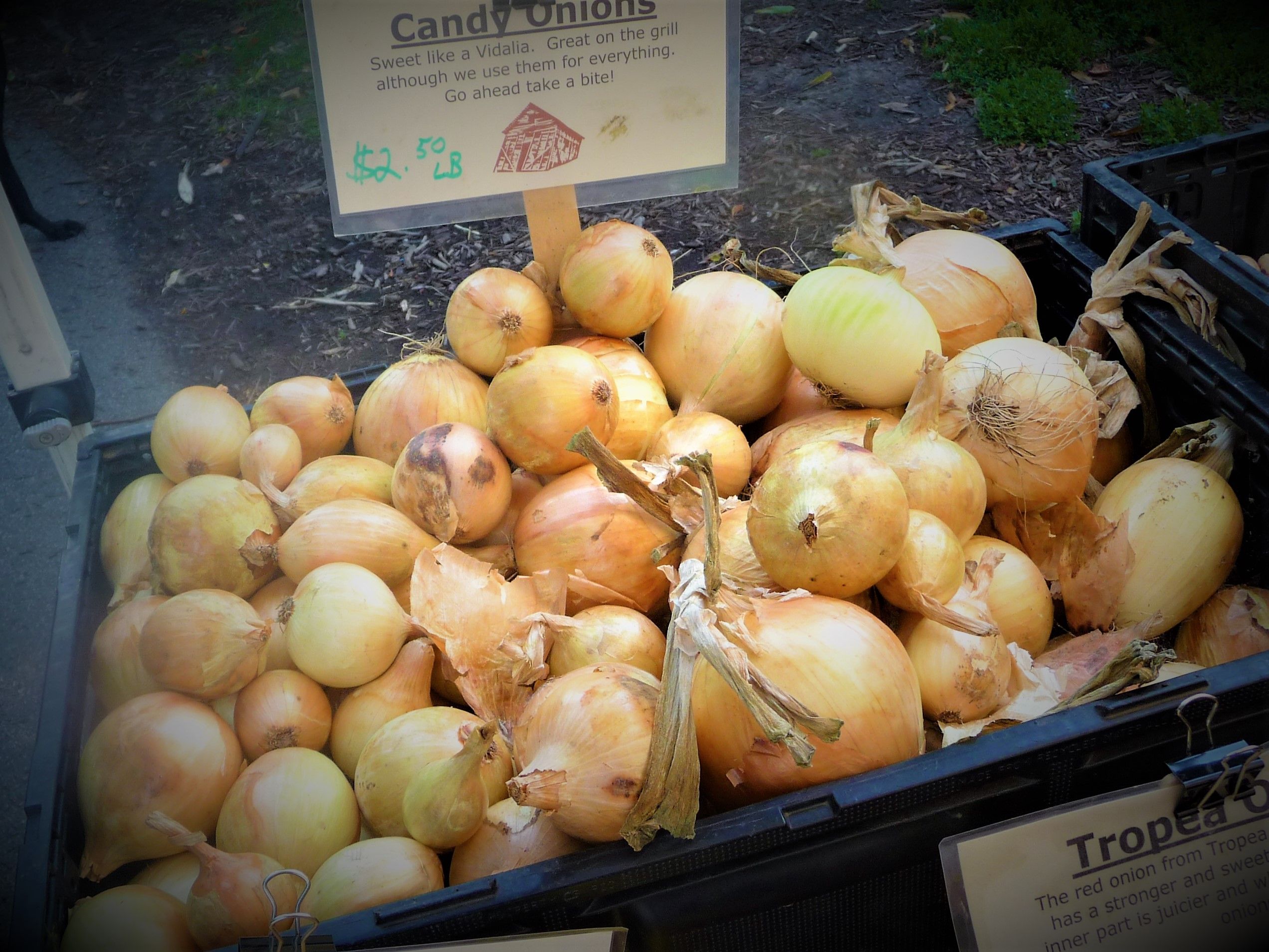 Caramelized Sweet Onions How to Cook OilFree PlantBased PlantsRule