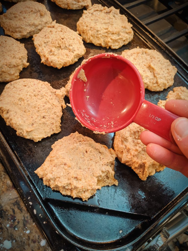 Pumpkin Almond Flour Pancakes GrainFree Vegan Recipe PlantsRule