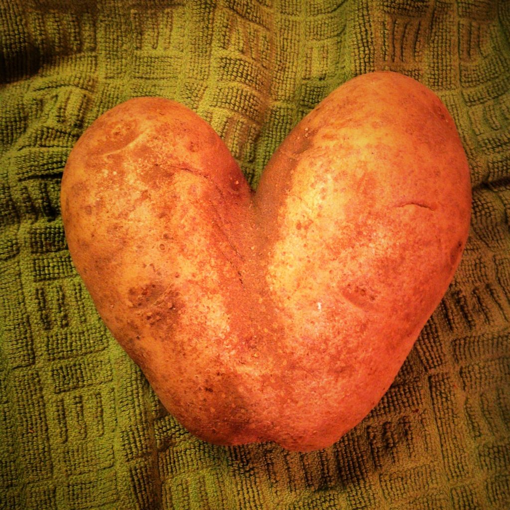 Fresh Produce Delivery, Fruits, Vegetables, and Vegan Meal Options