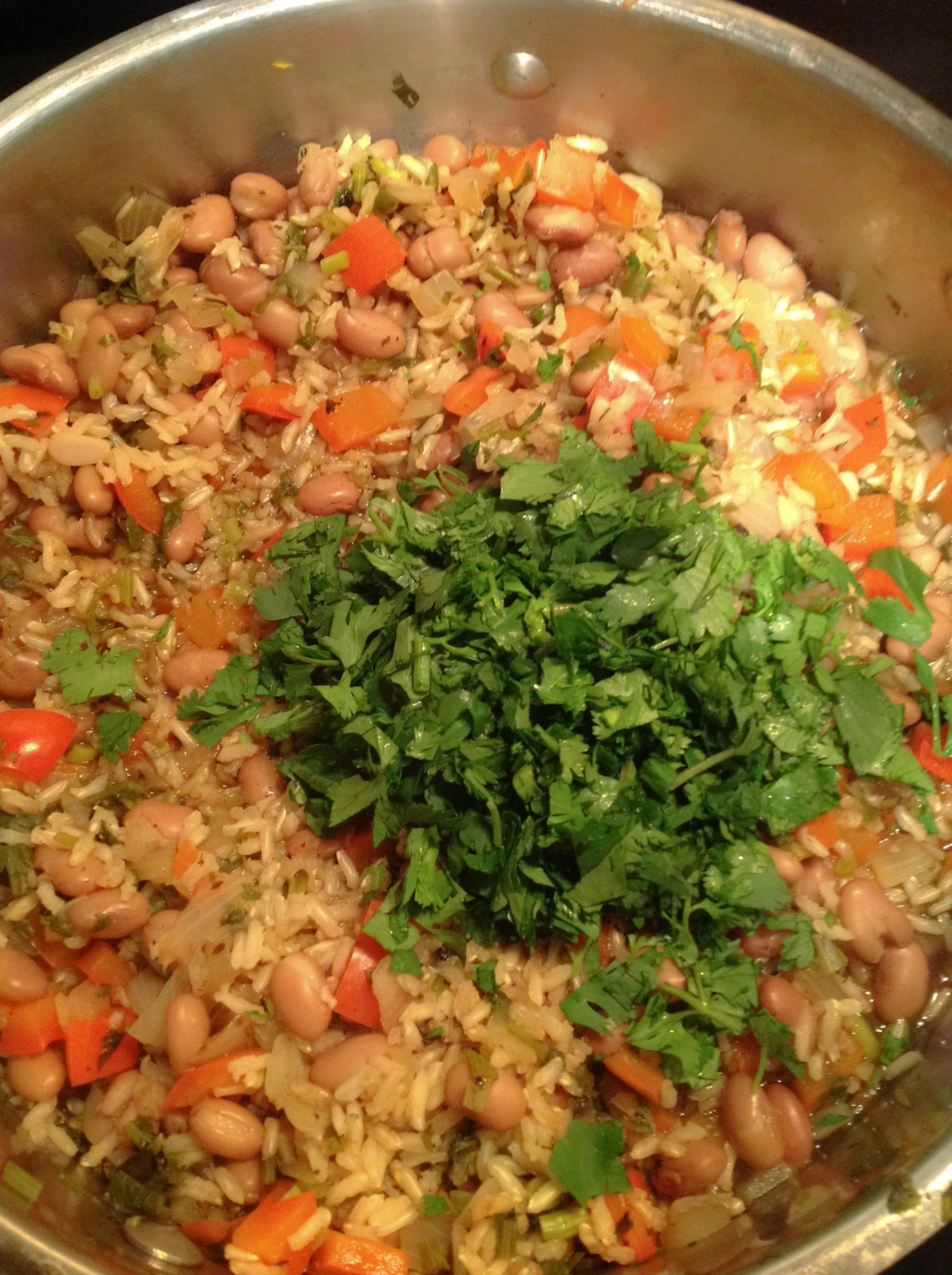 Gallo Pinto: Costa Rican Rice And Beans : Plants-Rule