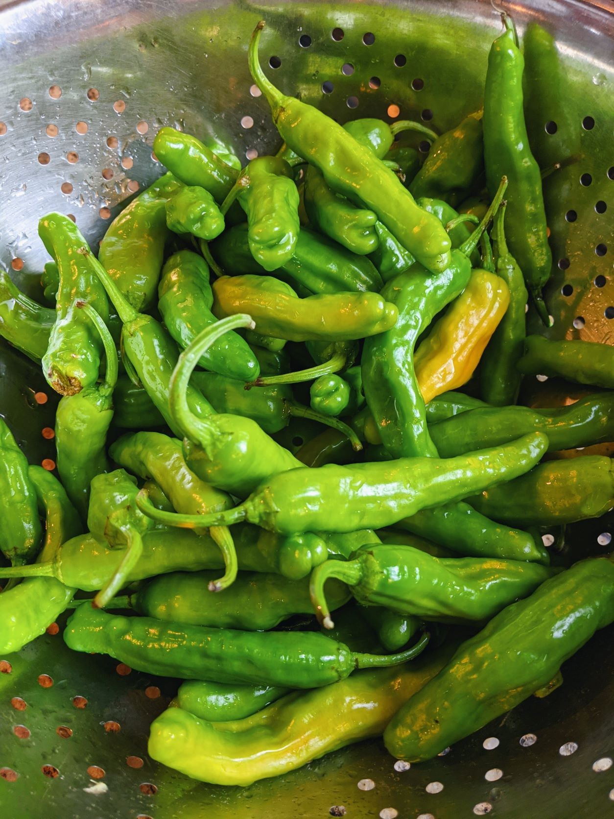 How To Make Air-Fryer Shishito Peppers With Everything Bagel Spices ...